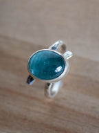 In the Blue Lagoon Ring - Uk size R/S